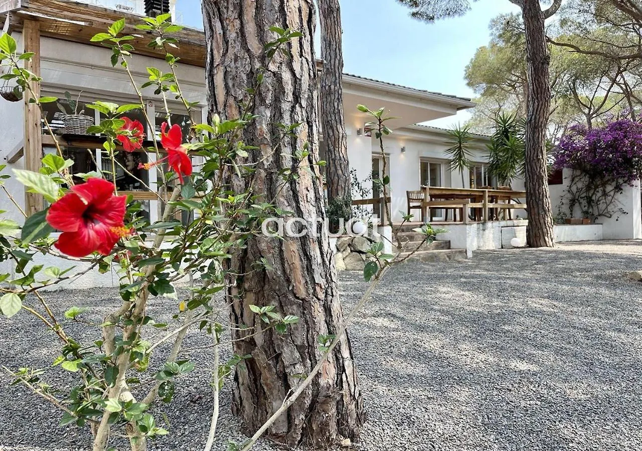 Casa Girasol 3 Villa S'Agaro Holiday home